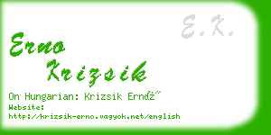 erno krizsik business card